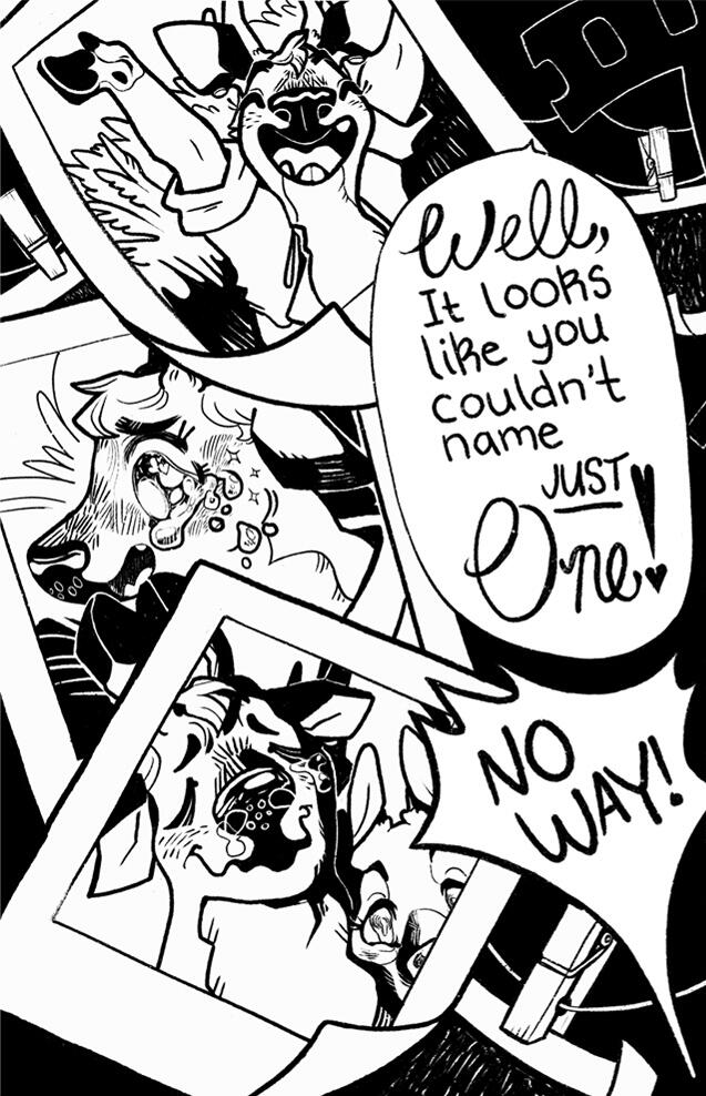 6 6